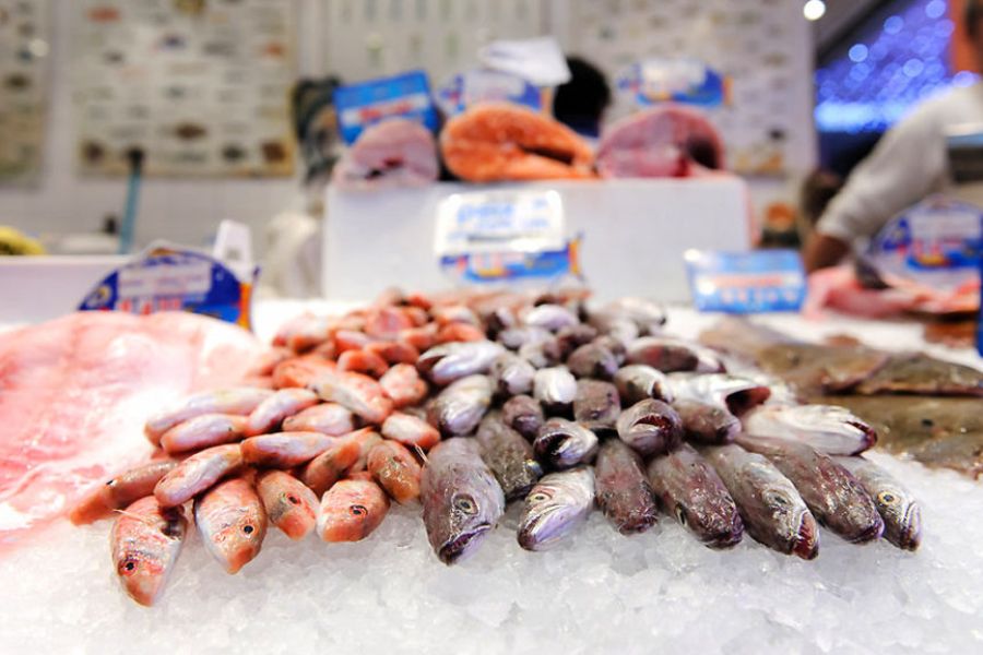 Pescado fresco sobre hielo en un mercado