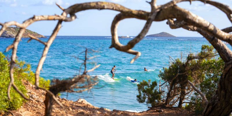 Guía Actividades del mar