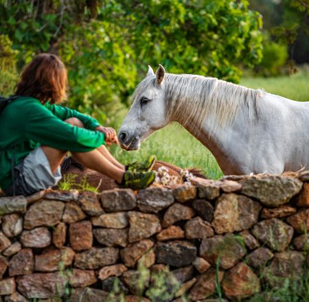 ¿Qué hacer? en Santa Eulària