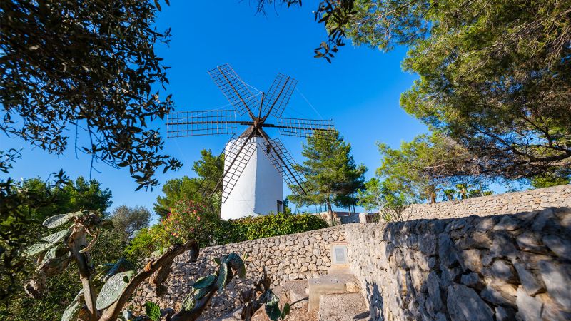 Puig d'en Valls